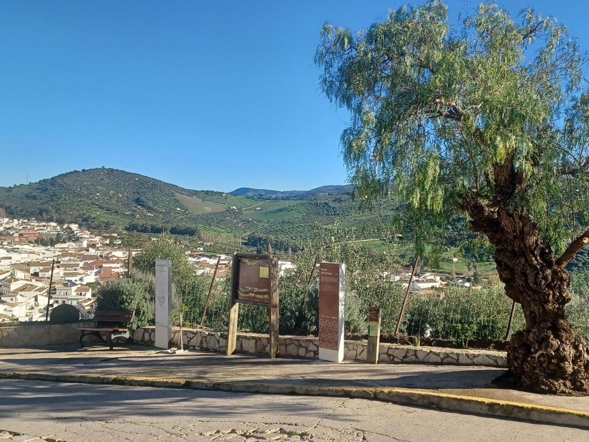 Casa Diego. Algodonales Kültér fotó